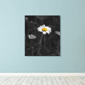 Gele Daisy Zwart-wit Bloem Foto Canvas Afdruk (Insitu (Houten vloer))