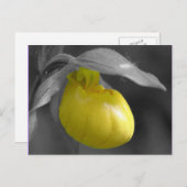 Gele Dame Slipper Black White Floral Briefkaart (Voorkant / Achterkant)