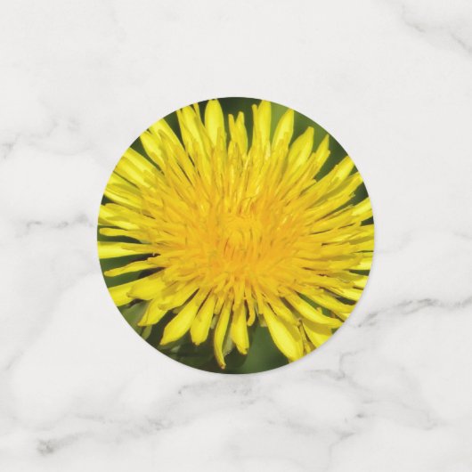 Gele dandelion confetti (Kleine voorkant)