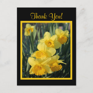 Gele deaffodils briefkaart