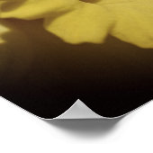 Gele deffodil-ventilator dicht poster (Hoek)