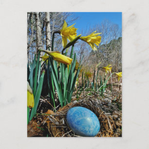 Gele deffodils en blauw ei in nestgebied briefkaart
