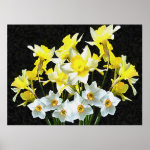 Gele deffodils en witte Narcissi op grijs Poster
