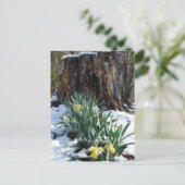 Gele deffodils in de sneeuw briefkaart (Staand voorkant)