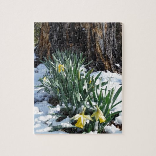 Gele deffodils in de sneeuw legpuzzel (Verticaal)