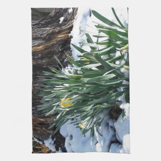 Gele deffodils in de sneeuw theedoek (Verticaal)