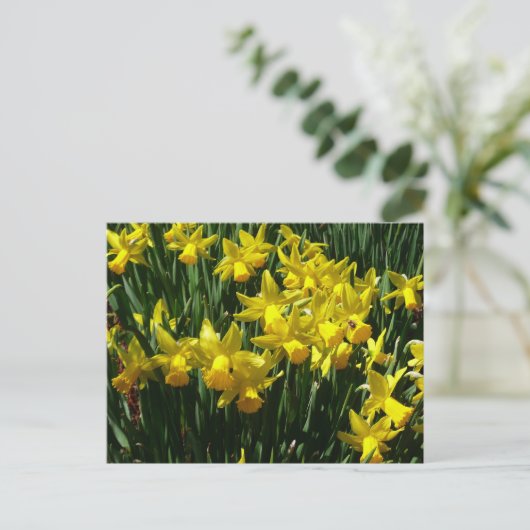 Gele deffodis ik Cheery Spring Flowers Briefkaart (Staand voorkant)