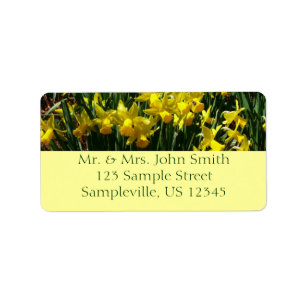 Gele deffodis ik Cheery Spring Flowers Etiket