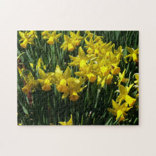 Gele deffodis ik Cheery Spring Flowers Legpuzzel
