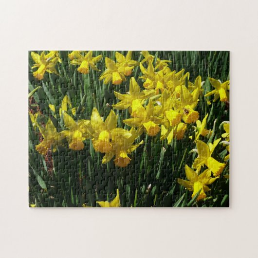 Gele deffodis ik Cheery Spring Flowers Legpuzzel (Horizontaal)