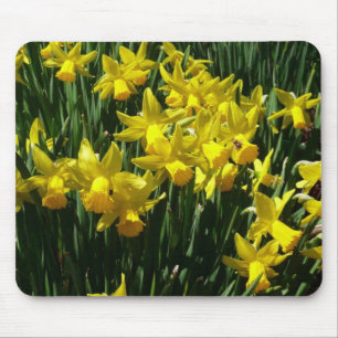 Gele deffodis ik Cheery Spring Flowers Muismat