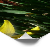 Gele deffodis ik Cheery Spring Flowers Perfect Poster (Hoek)