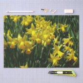Gele deffodis ik Cheery Spring Flowers Tissuepapier (Craft)