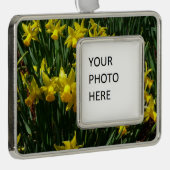 Gele deffodis ik Cheery Spring Flowers Verzilverd Kader Ornament (Rechts)