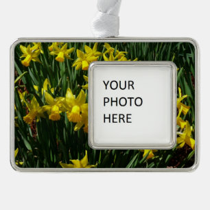 Gele deffodis ik Cheery Spring Flowers Verzilverd Kader Ornament