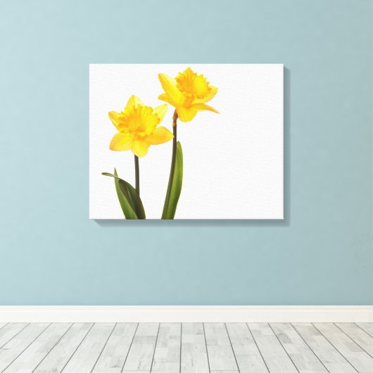 Gele deffodis op wit - Daffodilventilatorblank Canvas Afdruk (Insitu (Houten vloer))