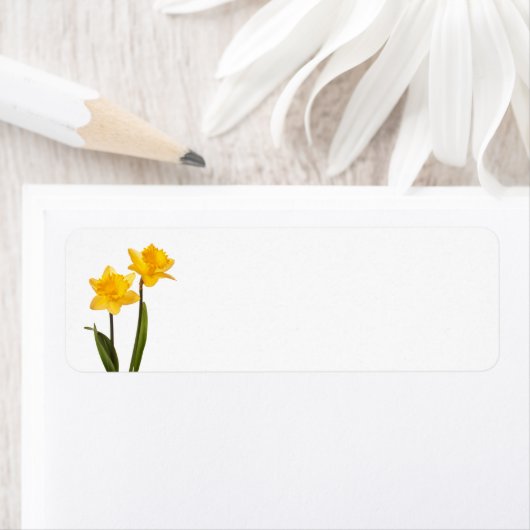 Gele deffodis op wit - Daffodilventilatorblank Etiket (Insitu)