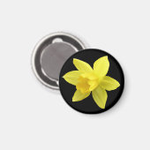 Gele diaffodil op zwart magneet (Voorkant / Achterkant)