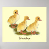 Gele ducklings poster (Voorkant)
