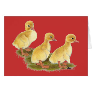 Gele Eendjes
