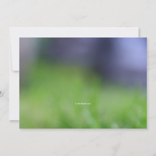 Gele eendjes Pasen uitnodiging (Achterkant)