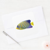 Gele en Blauwe Streep Tropische Vis Vierkante Sticker (Envelop)