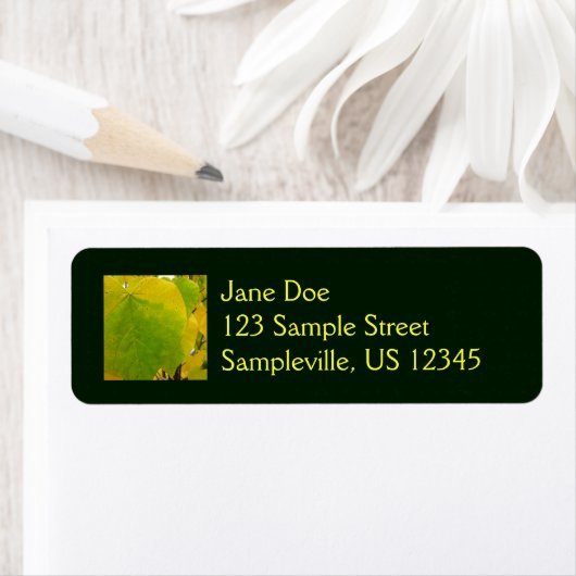 Gele en groene robots etiket (Insitu)