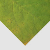 Gele en groene robots tissuepapier (Detail)