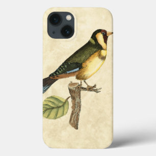 Gele en groene vogel op een kleine tak iPhone 13 hoesje