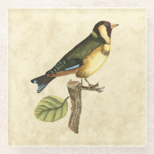 Gele en groene vogel op een kleine tak glazen onderzetter