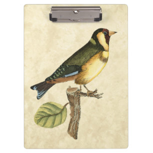 Gele en groene vogel op een kleine tak klembord
