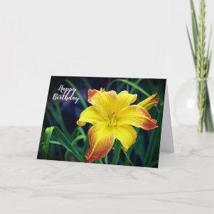 Gele en oranje dagleliesbloem verjaardag kaart