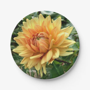 Gele en oranje dahlia op een papieren bord