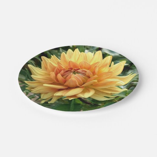 Gele en oranje dahlia op een papieren bord (Gekanteld)