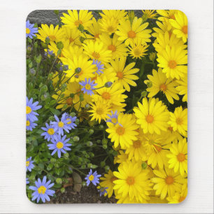 Gele en Paarse Daisies Muismat