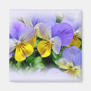 Gele en Paarse Pansies Magneet