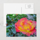 gele en rode roos briefkaart (Voorkant / Achterkant)
