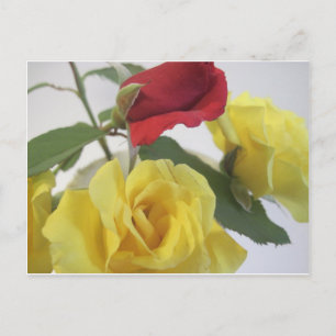 Gele en rode rozen briefkaart
