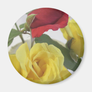 Gele en rode rozen magneet
