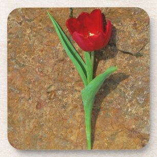 gele en rode tulp drankjes onderzetter