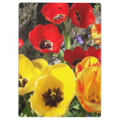 Gele en rode tulpen klembord (Achterkant)