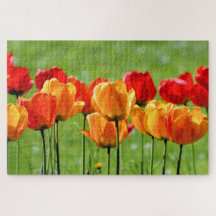 Gele en rode tulpen