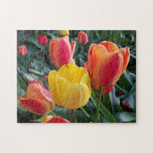 Gele en Rode Tulpen Rotsplantsoen Foto Legpuzzel