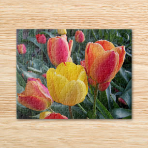 Gele en Rode Tulpen Rotsplantsoen Foto Legpuzzel