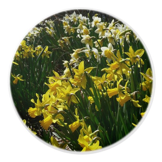 Gele en witte deffodils Spring Flowers Keramische Knop (Voorkant)