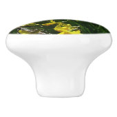 Gele en witte deffodils Spring Flowers Keramische Knop (Zijkant)