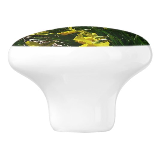 Gele en witte deffodils Spring Flowers Keramische Knop (Zijkant)