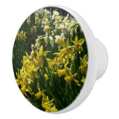 Gele en witte deffodils Spring Flowers Keramische Knop (Rechts)