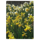 Gele en witte deffodils Spring Flowers Klembord (Achterkant)