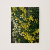 Gele en witte deffodils Spring Flowers Legpuzzel (Verticaal)